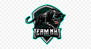Team nxt logo